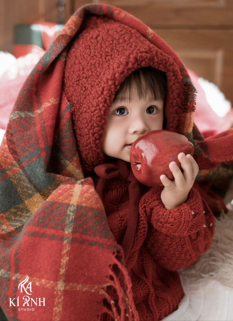 Concept chụp ảnh Noel